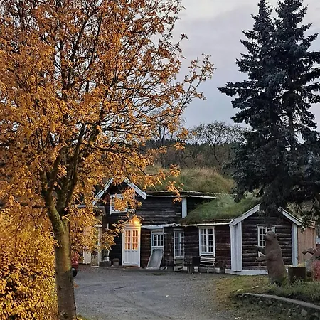 Unique Gem From 1920 With Murals In Holiday home *